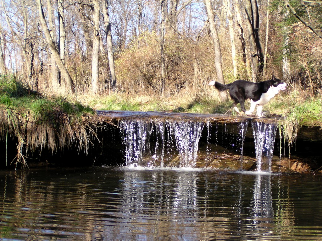 Lawton Falls